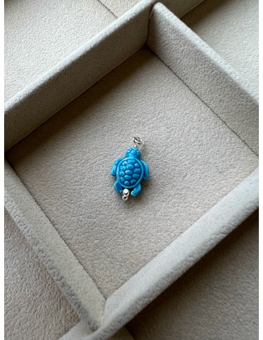 Turquoise Turtle Subject