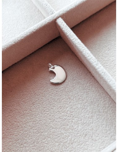 Moon Subject