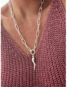 Big Lucky Horn Subject