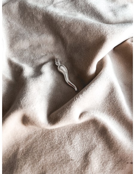 Big Lucky Horn Subject