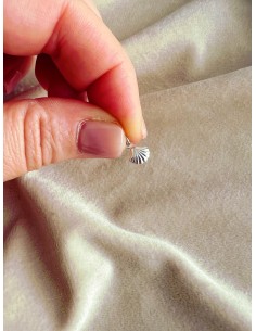 Mini Shell Subject 2