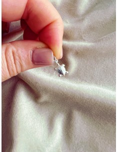 Soggetto Tartaruga 2