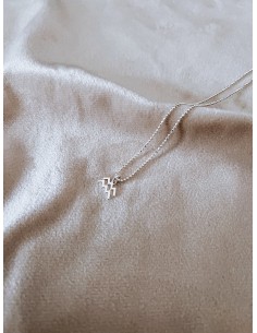 Zodiac Sign Necklace 2