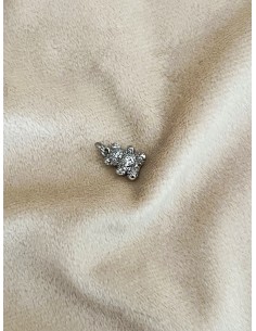 Subject Zircons Teddy 2