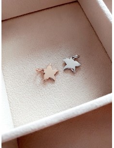 Soggetto Stella Marina