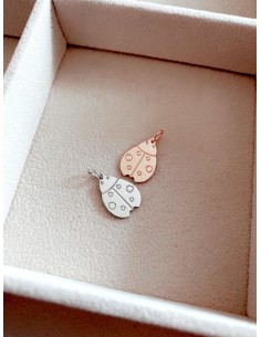 Soggetto Coccinella Ali Chiuse