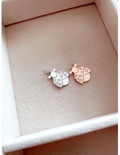 Soggetto Coccinella Ali Aperte