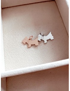 Soggetto Cane con Collare