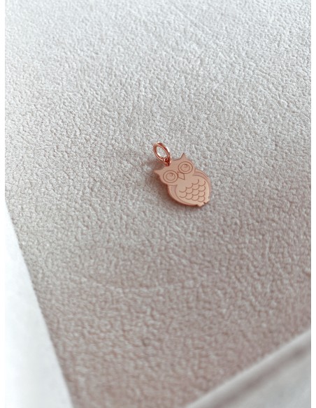 Little Owl Charm