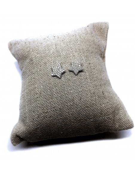 Orecchini a Lobo con Stella di Zirconi Bianchi