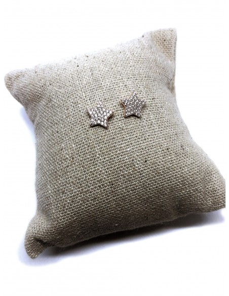 Orecchini a Lobo con Stella di Zirconi Bianchi