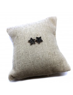 Orecchini a Lobo con Stella di Zirconi Neri