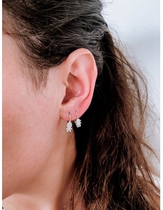 Monorecchino Monachella...