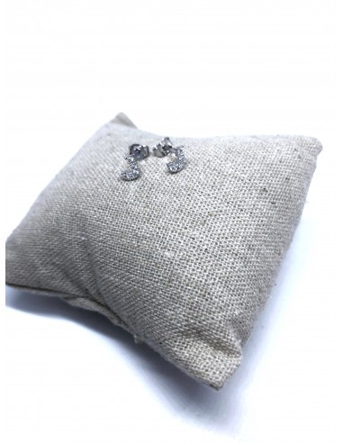 Orecchini a Lobo con Lettera di Zirconi