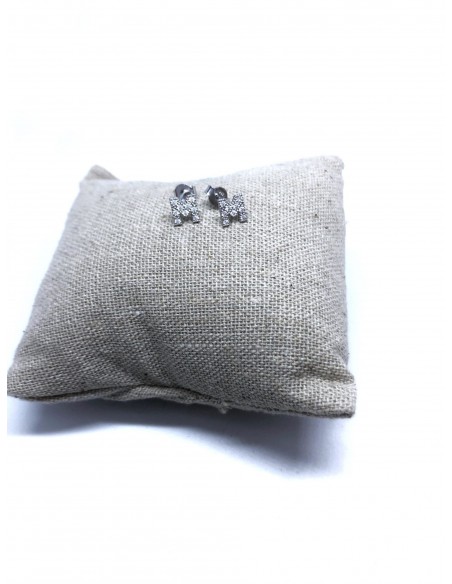 Orecchini a Lobo con Lettera di Zirconi