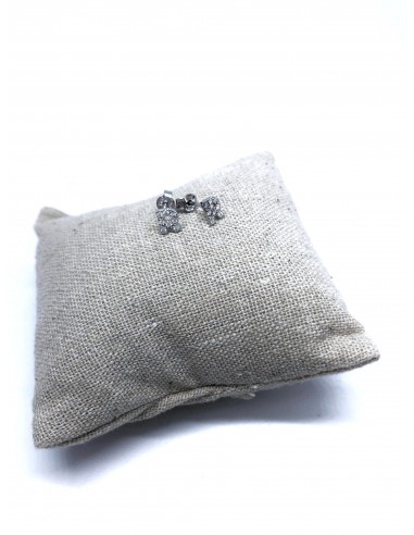 Orecchini a Lobo con Lettera di Zirconi